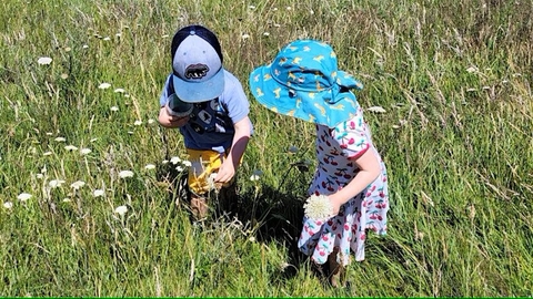 Two small children in a meadow