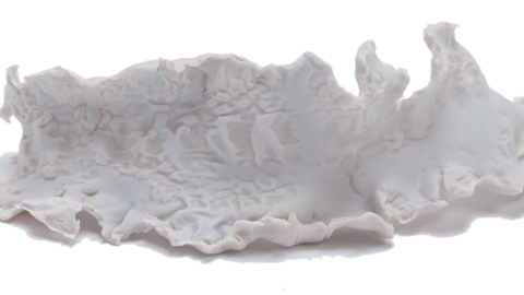 A sculpture of a seaweed fragment made from bone china