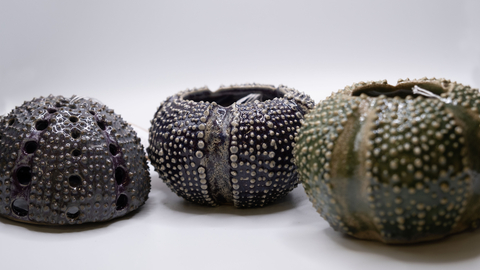 Three ceramic sea urchins