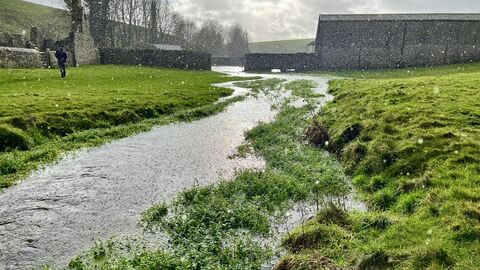 Little Piddle at Lyscombe 
