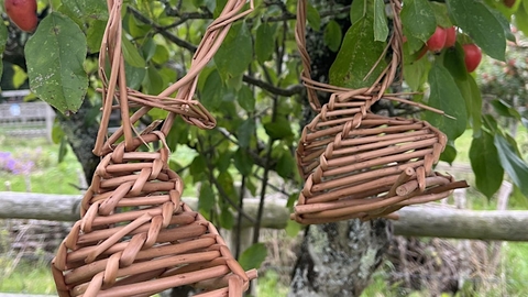 Willow bird feeder