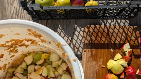 A photo of chopped apples on a chopping board and in a bucket ready for pressing.