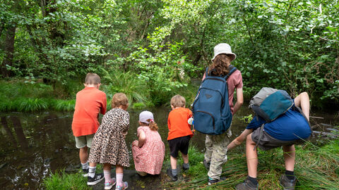 Young people enjoying Brownsea Island