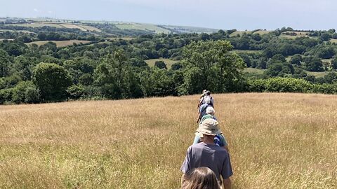 Line of people walking through meadow