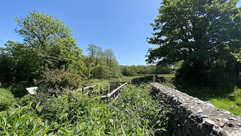 Wall with trees around.