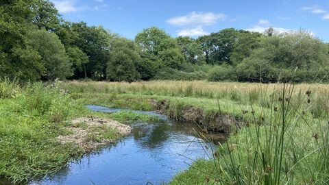 River going through green meadow