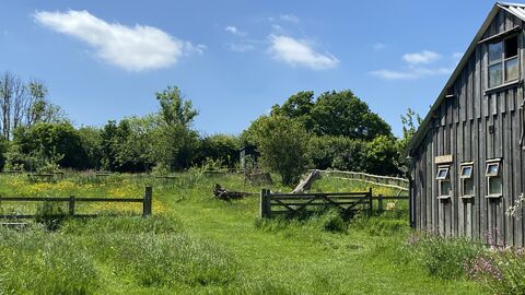 Barn in field with open gate