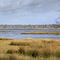 Saltmarsh and mudflats with Brownsea Island in the distance. Credit National Trust Images & John Miller