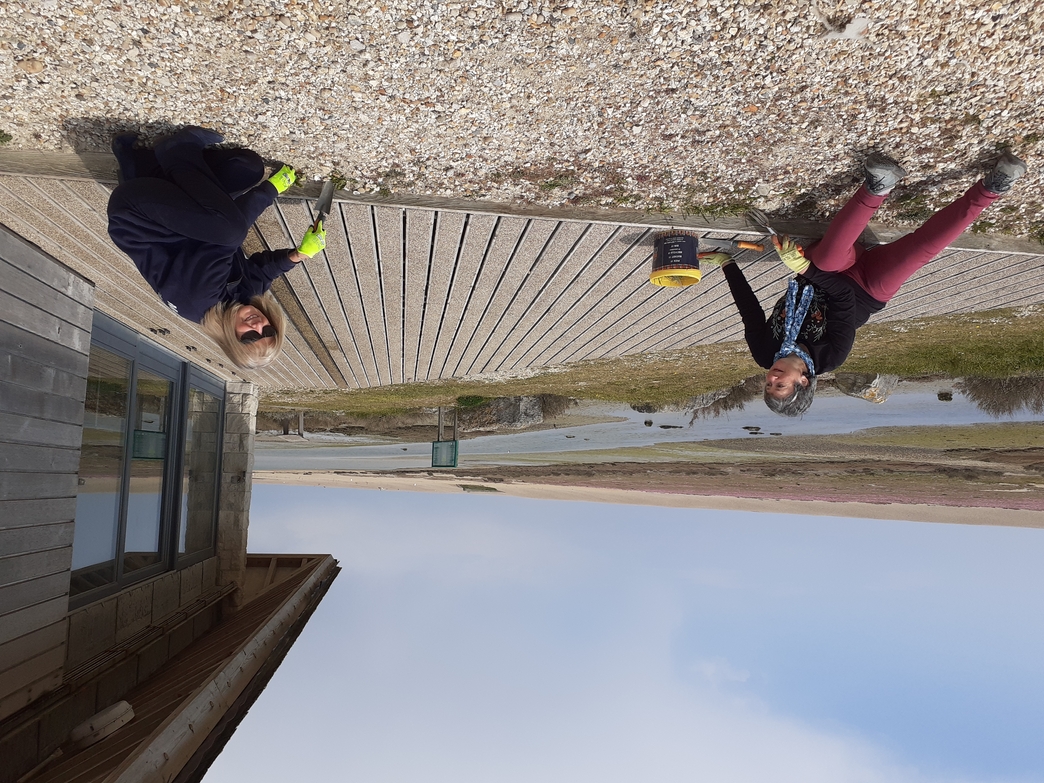 Volunteering at the Chesil Centre Sue Frazer Dorset Wildlife Trust