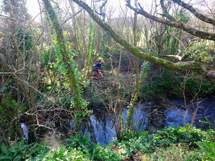 Dorset Wild Rivers | Dorset Wildlife Trust