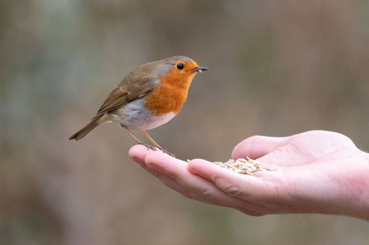 Photography competition 2024 | Dorset Wildlife Trust