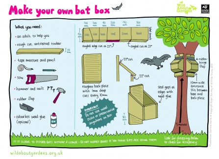 How To Build A Bat Box Dorset Wildlife Trust