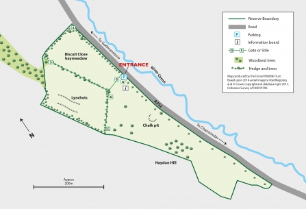 Haydon Hill Nature Reserve Map