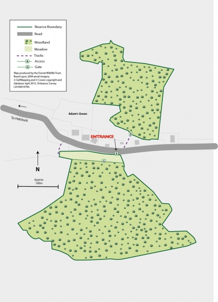 Hibbitts Woods Reserve Map