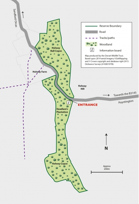 Holway Woods Nature Reserve Map