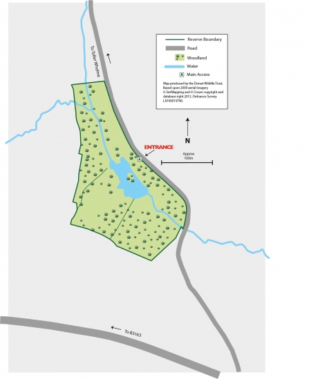 Michael's Peace Reserve Map