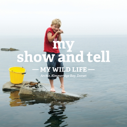 Archie stands on a rock in the sea with a bucket