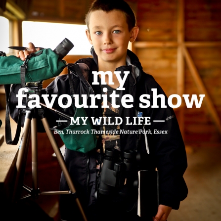 Ben in a bird hide with a telescope