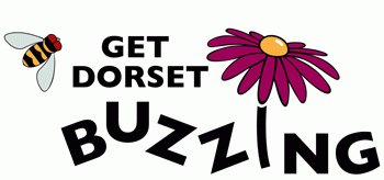 Get Dorset Buzzing