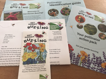 Get Dorset Buzzing pack 