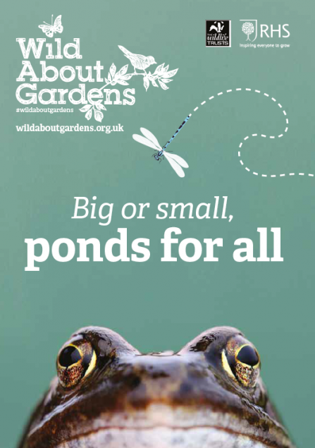 Big or small ponds for all Wild About gardens