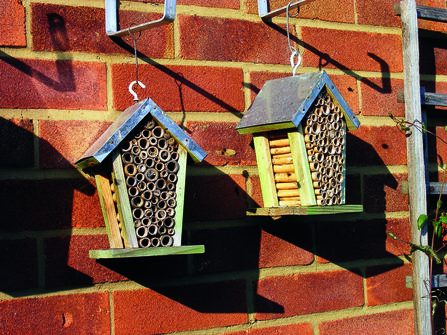 Bee hotel © Jane Adams 