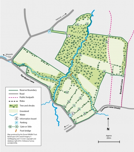 Bracketts Coppice Map Sept 2019