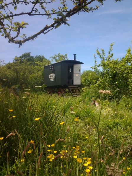 Living Van at The Kingcombe Centre