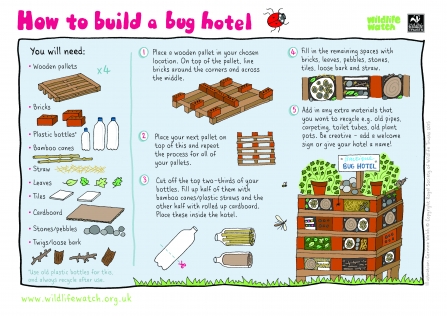 A guide to building a bug hotel by stacking bricks, wooden planks, twigs and other material
