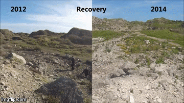 Portland recovery works DWT 2