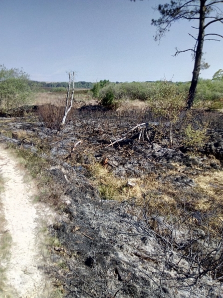 Upton Heath Fire 22.04.2020 by Luke Johns 