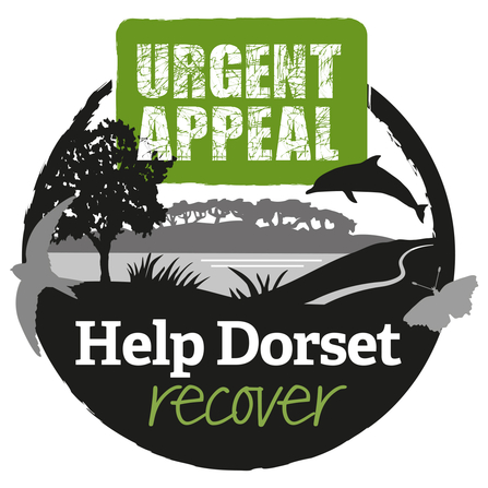 Help Dorset Recover