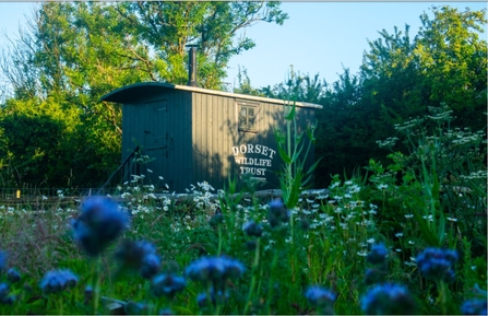 Orchard hut by Emma Jones