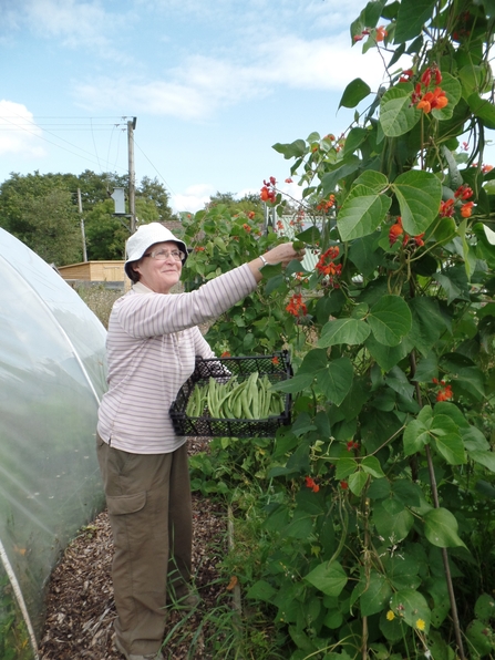 Volunteer at Kingcombe by Sally Welbourn