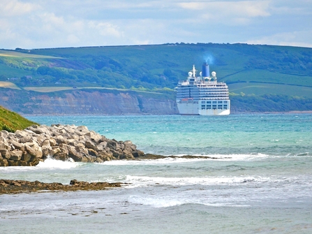 Photo - cruise ship on the sea