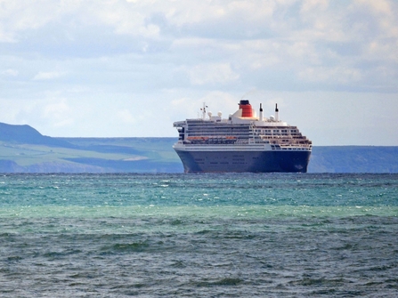 Photo - cruise ship on the sea