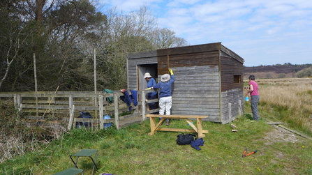 Photo - volunteers repainting the hides at Winfrith