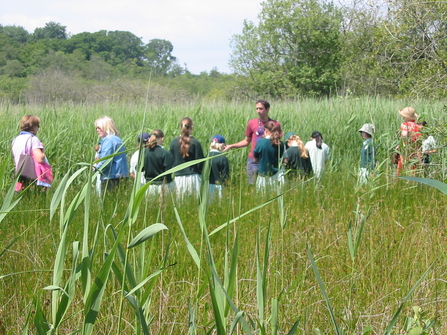 Young volunteers at Brownsea