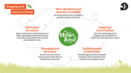 Graphic showing the elements of bringing back nature in Dorset 