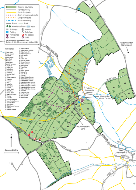 Reserve map Kingcombe