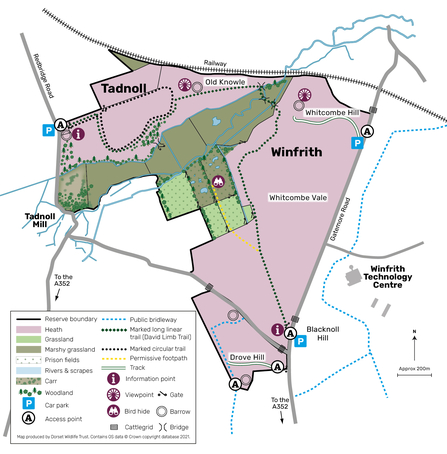Tadnoll and Winfrith reserve map