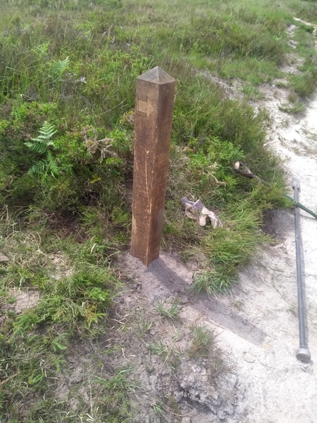 Waymarker on Upton Heath