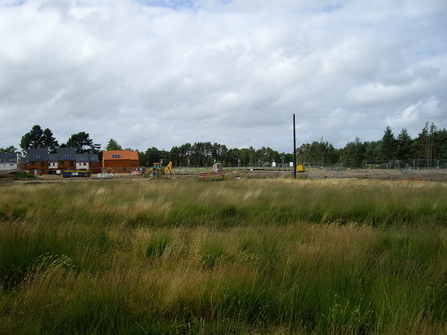 Field with housing development in the background 
