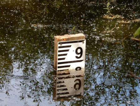 Beaver pond depth gauge board