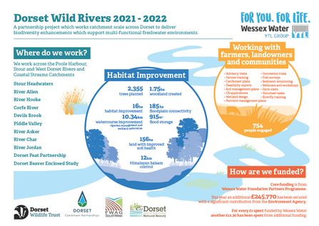 Dorset Wild Rivers infographic 2021-22