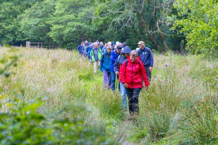 Group having a walk