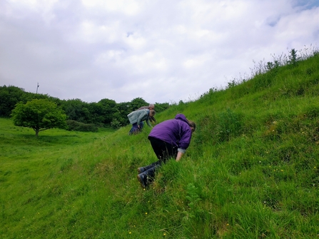 Volunteers undertaking a botanical survey