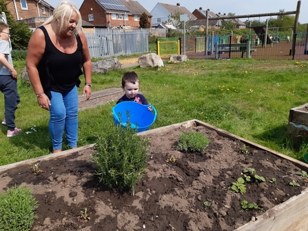 Urban Green project in Alderney