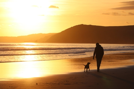 Walking the dog on the beach