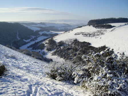 Fontmell Down in the snow